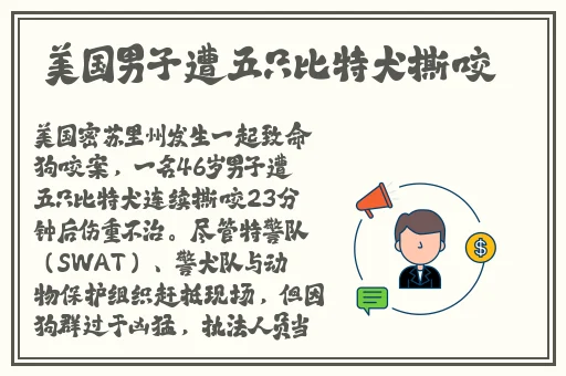 霓裳app下载